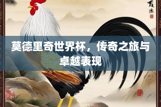 莫德里奇世界杯，传奇之旅与卓越表现
