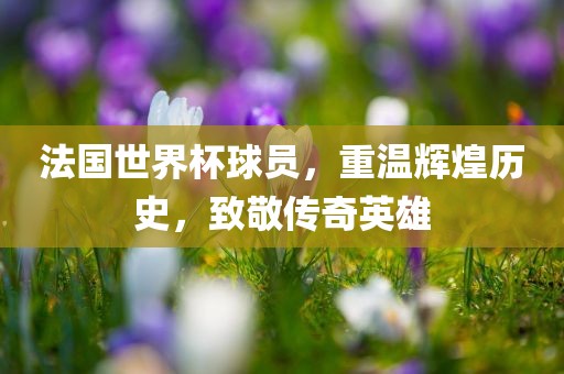 法国世界杯球员，重温辉煌历史，致敬传奇英雄