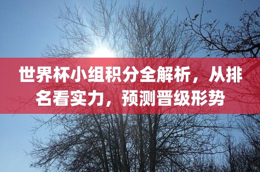 世界杯小组积分全解析，从排名看实力，预测晋级形势