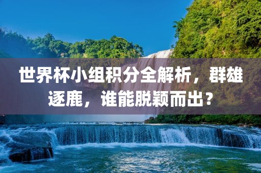 世界杯小组积分全解析，群雄逐鹿，谁能脱颖而出？