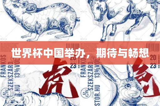 世界杯中国举办，期待与畅想