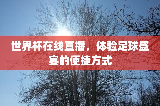 世界杯在线直播，体验足球盛宴的便捷方式
