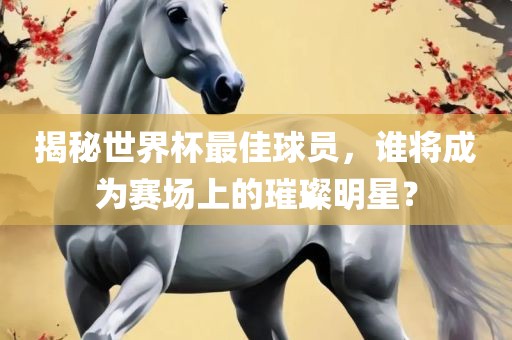 揭秘世界杯最佳球员，谁将成为赛场上的璀璨明星？