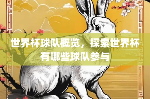 世界杯球队概览，探索世界杯有哪些球队参与