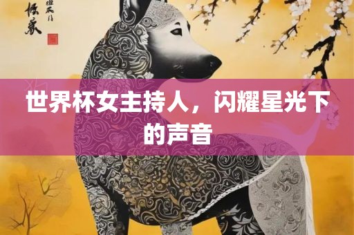 世界杯女主持人，闪耀星光下的声音