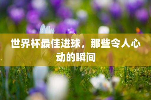 世界杯最佳进球，那些令人心动的瞬间