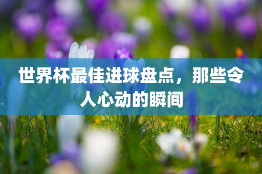 世界杯最佳进球盘点，那些令人心动的瞬间