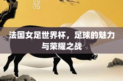 法国女足世界杯，足球的魅力与荣耀之战