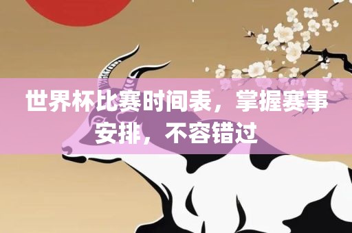 世界杯比赛时间表，掌握赛事安排，不容错过