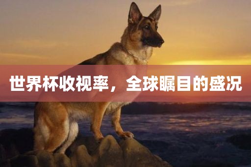 世界杯收视率，全球瞩目的盛况