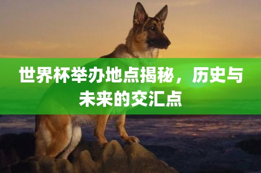 世界杯举办地点揭秘，历史与未来的交汇点
