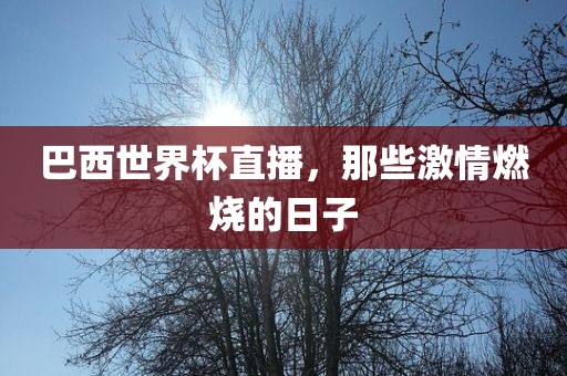 巴西世界杯直播，那些激情燃烧的日子
