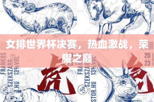 女排世界杯决赛，热血激战，荣耀之巅