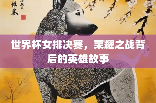 世界杯女排决赛，荣耀之战背后的英雄故事