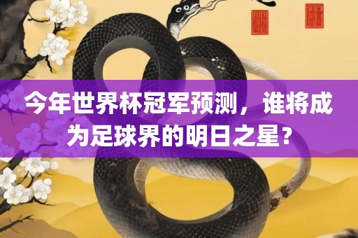 今年世界杯冠军预测，谁将成为足球界的明日之星？