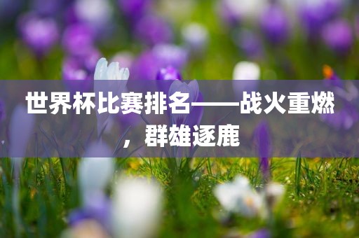 世界杯比赛排名——战火重燃，群雄逐鹿