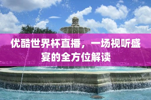优酷世界杯直播，一场视听盛宴的全方位解读