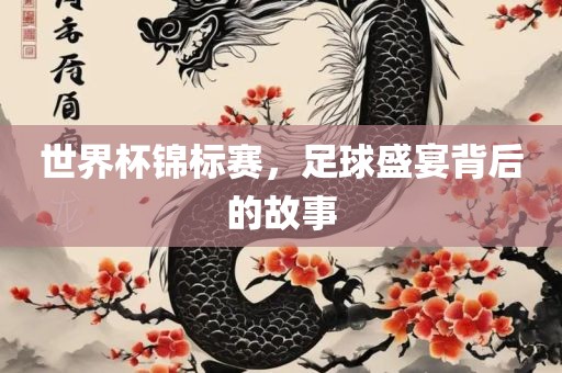 世界杯锦标赛，足球盛宴背后的故事