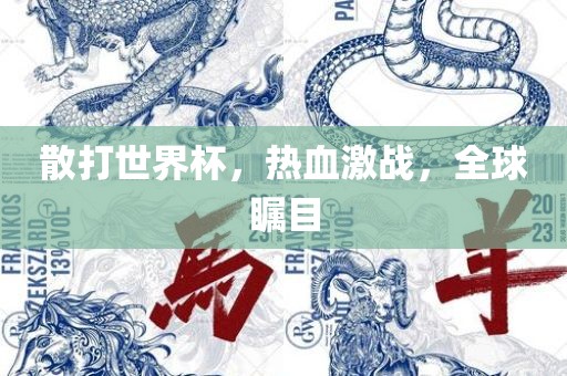 散打世界杯，热血激战，全球瞩目