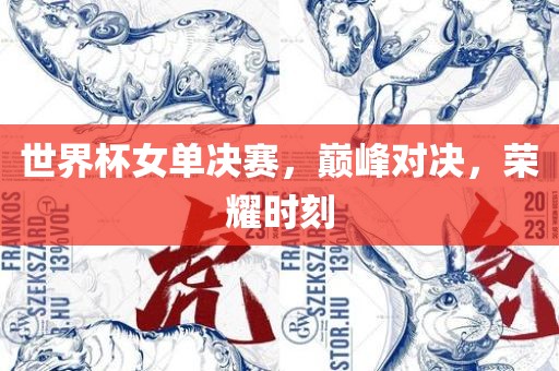 世界杯女单决赛，巅峰对决，荣耀时刻