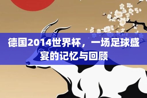 德国2014世界杯，一场足球盛宴的记忆与回顾