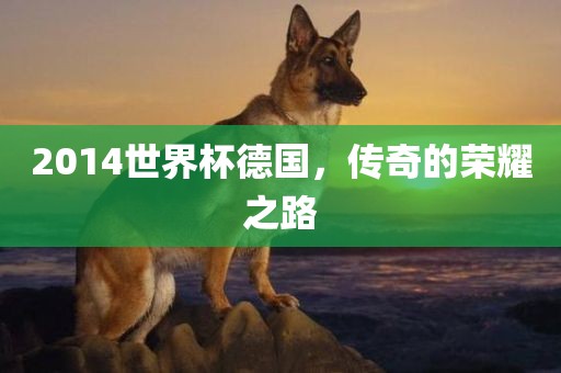 2014世界杯德国，传奇的荣耀之路