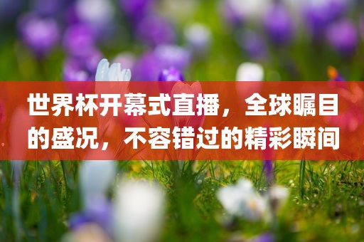 世界杯开幕式直播，全球瞩目的盛况，不容错过的精彩瞬间