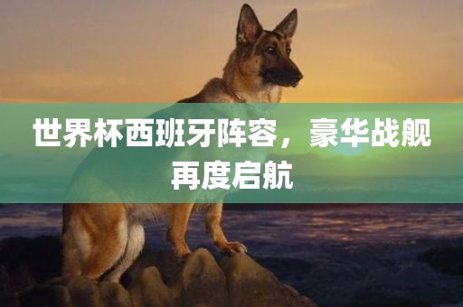世界杯西班牙阵容，豪华战舰再度启航
