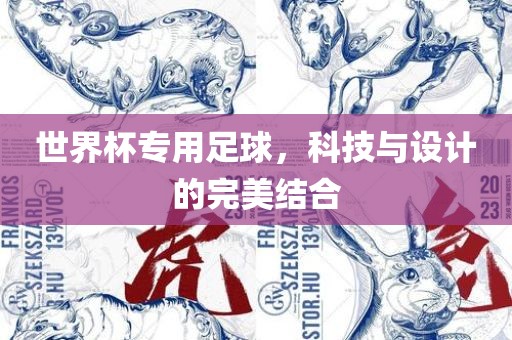 世界杯专用足球，科技与设计的完美结合