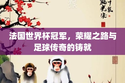 法国世界杯冠军，荣耀之路与足球传奇的铸就