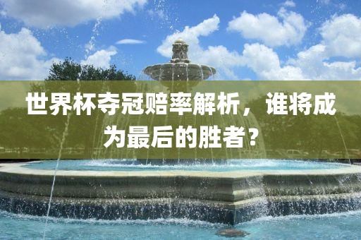 世界杯夺冠赔率解析，谁将成为最后的胜者？