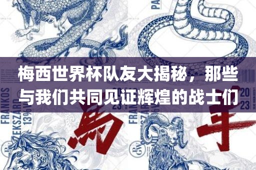 梅西世界杯队友大揭秘，那些与我们共同见证辉煌的战士们
