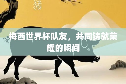 梅西世界杯队友，共同铸就荣耀的瞬间