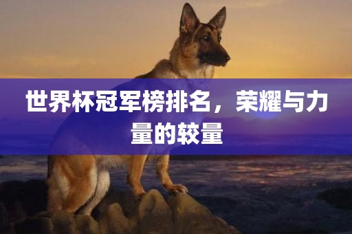 世界杯冠军榜排名，荣耀与力量的较量