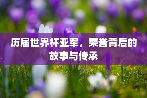 历届世界杯亚军，荣誉背后的故事与传承