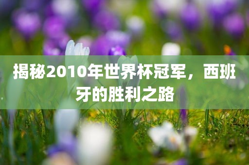 揭秘2010年世界杯冠军，西班牙的胜利之路
