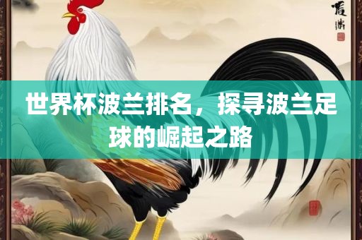 世界杯波兰排名，探寻波兰足球的崛起之路