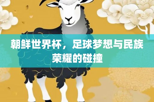 朝鲜世界杯，足球梦想与民族荣耀的碰撞