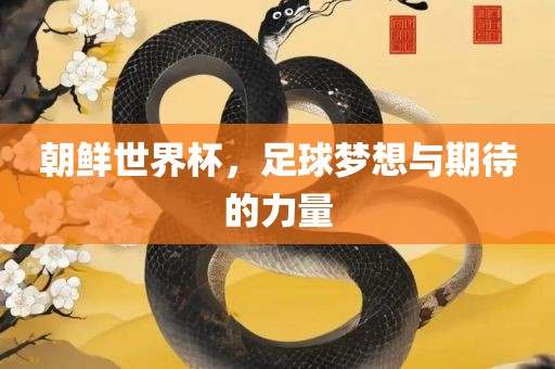 朝鲜世界杯，足球梦想与期待的力量