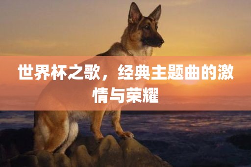 世界杯之歌，经典主题曲的激情与荣耀