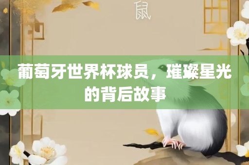 葡萄牙世界杯球员，璀璨星光的背后故事