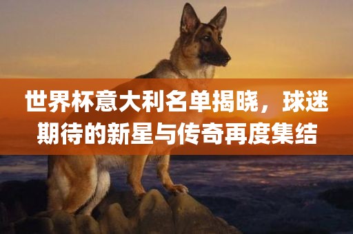 世界杯意大利名单揭晓，球迷期待的新星与传奇再度集结