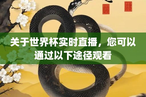 关于世界杯实时直播，您可以通过以下途径观看