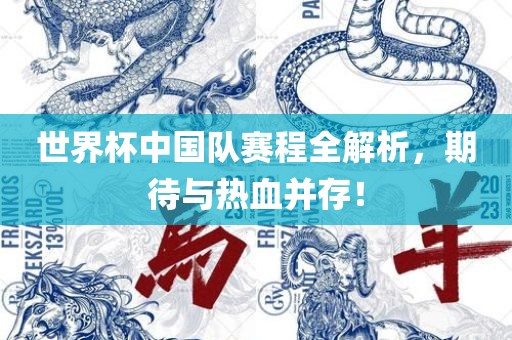 世界杯中国队赛程全解析，期待与热血并存！