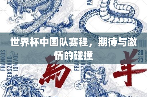 世界杯中国队赛程，期待与激情的碰撞