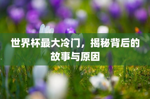 世界杯最大冷门，揭秘背后的故事与原因