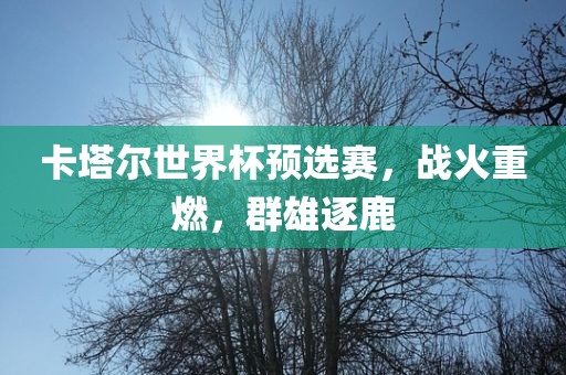 卡塔尔世界杯预选赛，战火重燃，群雄逐鹿