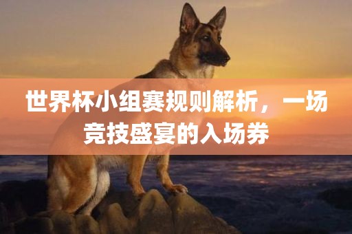 世界杯小组赛规则解析，一场竞技盛宴的入场券