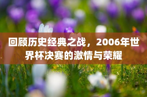 回顾历史经典之战，2006年世界杯决赛的激情与荣耀