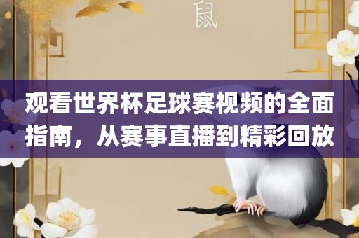 观看世界杯足球赛视频的全面指南，从赛事直播到精彩回放